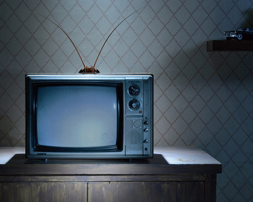 مطلب تست آموزشی